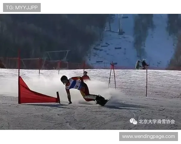 通过问鼎官网登录入口，轻松获取最新动态与官方资源信息