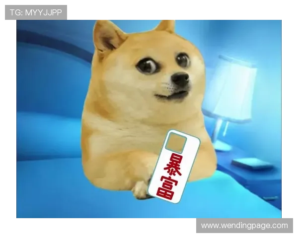 问鼎app官方下载入口官方最新版本，快速安装开启精彩应用之旅