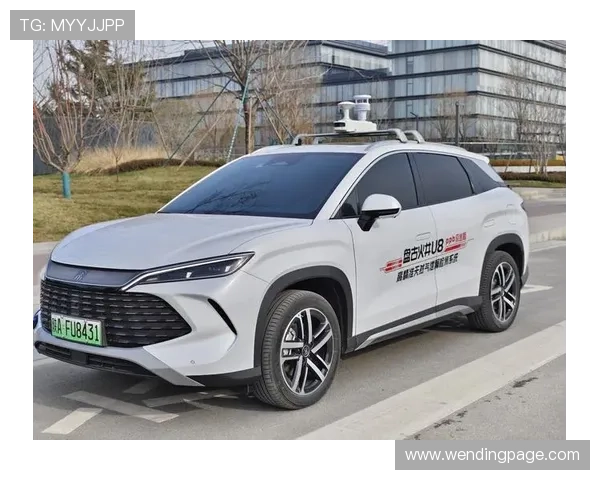 问鼎h5登录：全面解析最新登录方式与安全保障措施