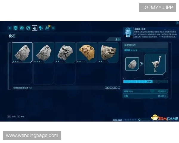 问鼎在线官网首页详细攻略指南帮助新手玩家快速上手游戏体验丰富内容 问鼎在线官网首页详细攻略指南帮助新手玩家快速上手游戏体验丰富内容