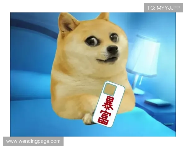 问鼎官方首页:如何快速找到热门游戏推荐与官方公告获取第一手资讯 问鼎官方首页:如何快速找到热门游戏推荐与官方公告获取第一手资讯