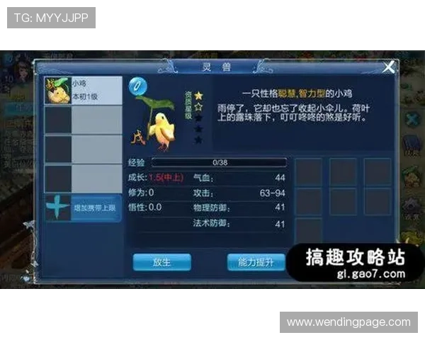 问鼎官网赏金女王每日任务完成攻略助你快速积累经验和提升角色等级