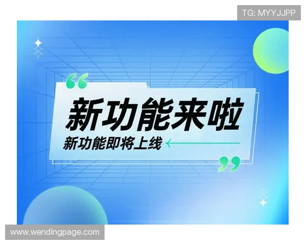 问鼎旗舰平台官网最新版本更新内容详解新功能上线与优化改进全面解析